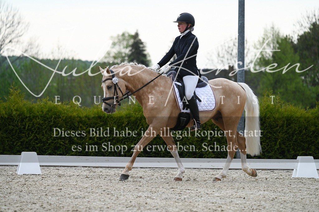 20230512_JK-Röhrsdorf-02-103 | Pferde- und Turnierfotografie in Westsachsen. Pferdeportraits, Auftragszeichnungen und intuitive Kunst.