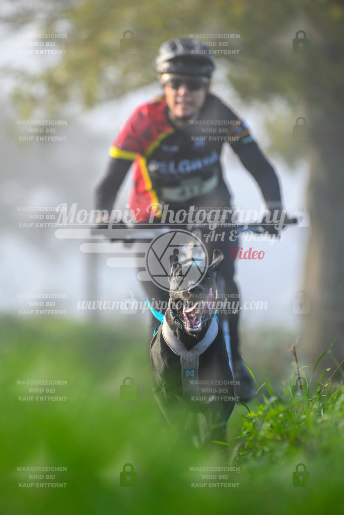 MompixPhotography_20TSB_E3_Bike-112 | PayLife