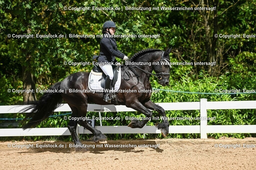 20230715_02_Dressurreiterprüfung Kl.L_0180 | equistock