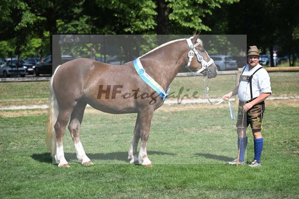 Kat-Nr. 55 Esmiralda_Gilg_20231663 | hf-fotografie - Realisiert mit Pictrs.com