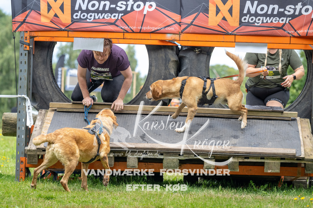 1232_ZZ93941 | kk-dogfotos