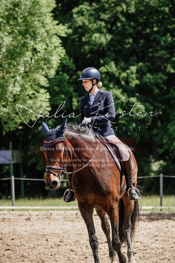 DSC_1526 | Pferde- und Turnierfotografie in Westsachsen. Pferdeportraits, Auftragszeichnungen und intuitive Kunst.