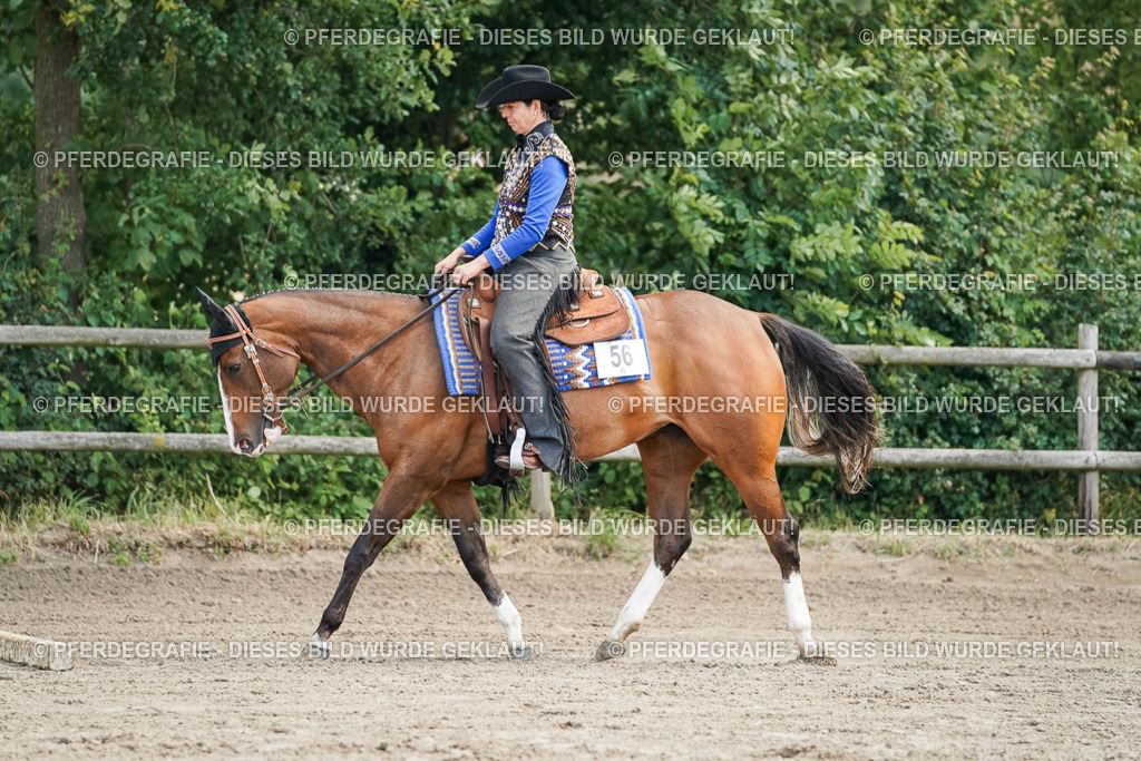 DSC06221 | Pferdegrafie