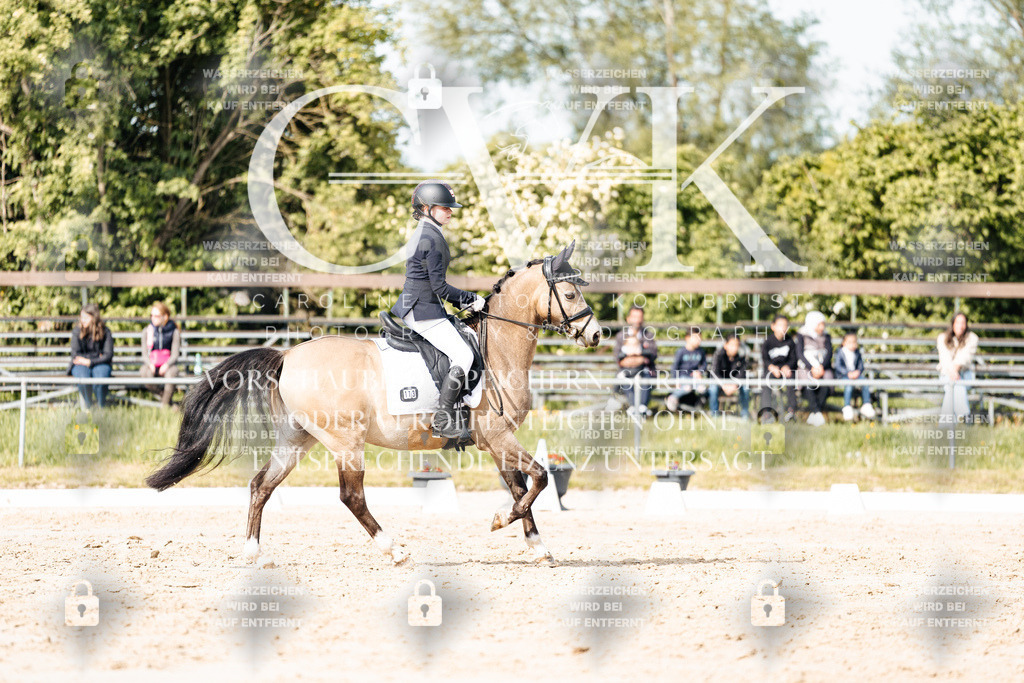 CK900407 | Turnierfotografie Pferdefotografie Trier Rheinland-Pfalz Pferdesport Reitsport Tierfotografie Sportfotografie Pferdevideo Pferdevideografie Equestrianvideography equestrianphotography  - Realisiert mit Pictrs.com