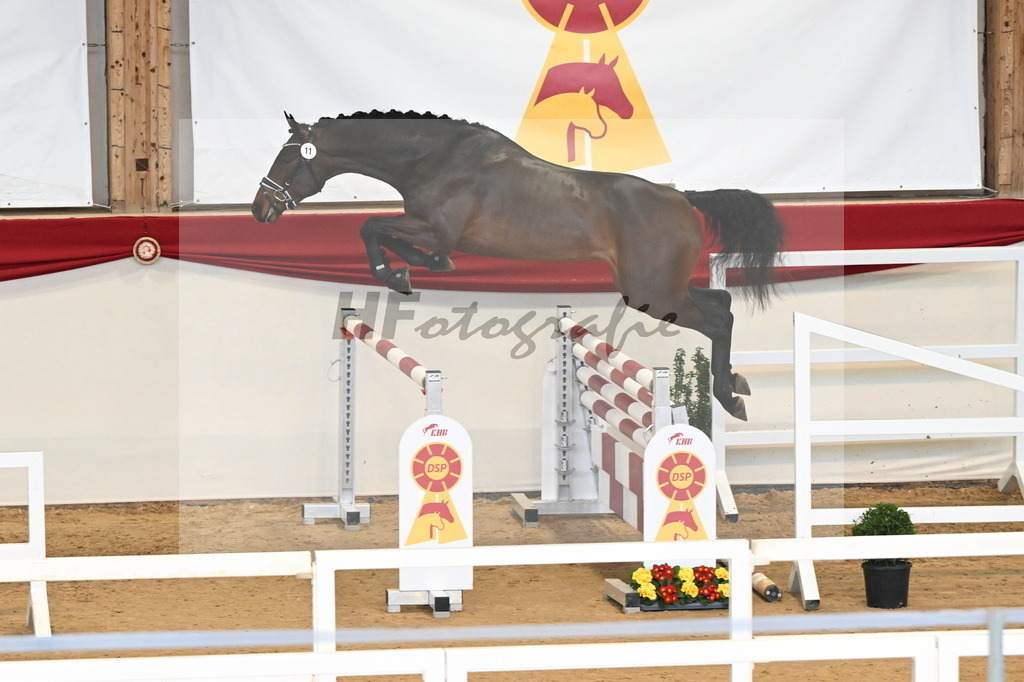 Kat.-Nr. 11 v. Conthargos_Schlamminger_3261576 | hf-fotografie - Realisiert mit Pictrs.com