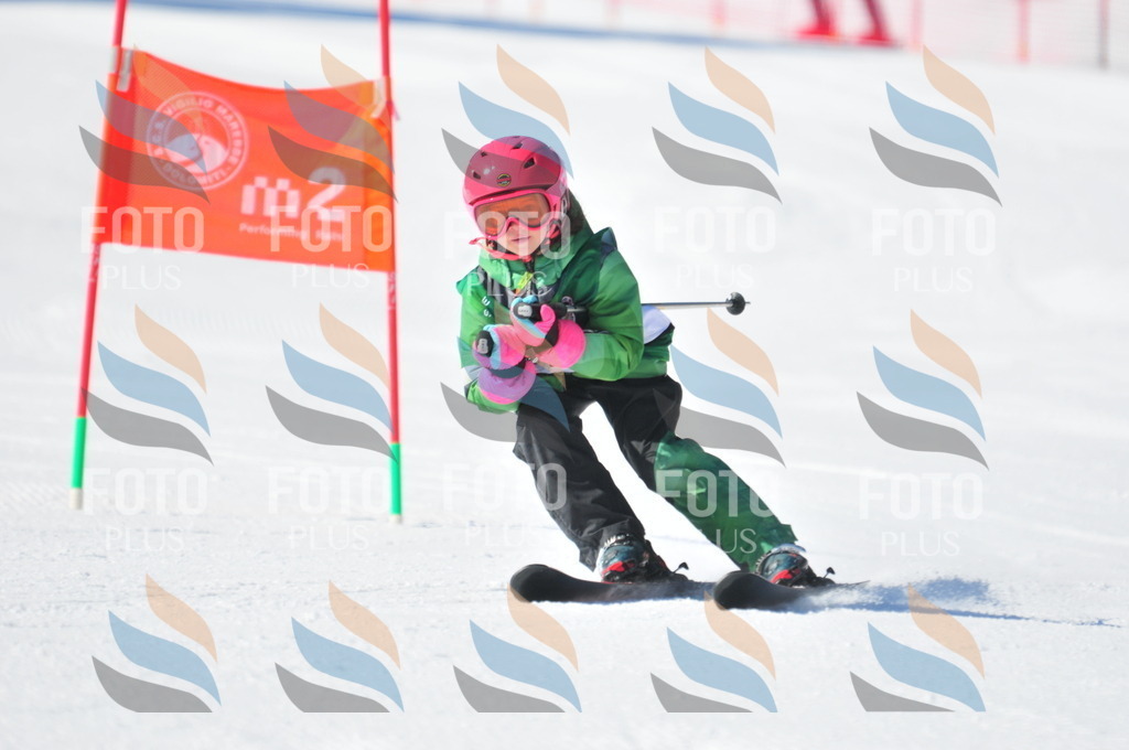 C2770 | holidayphoto