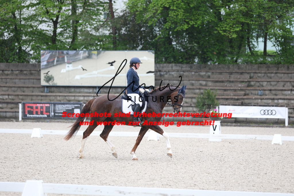 A40A7331 | lmwpictures - Realisiert mit Pictrs.com