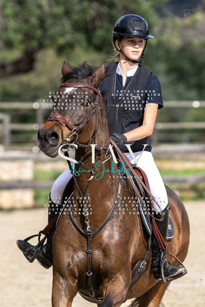 IMG_3172 | s-jay-photography - Realisiert mit Pictrs.com