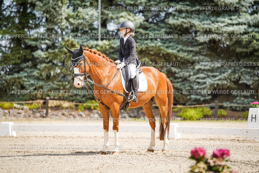 DSC02439 | Pferdegrafie