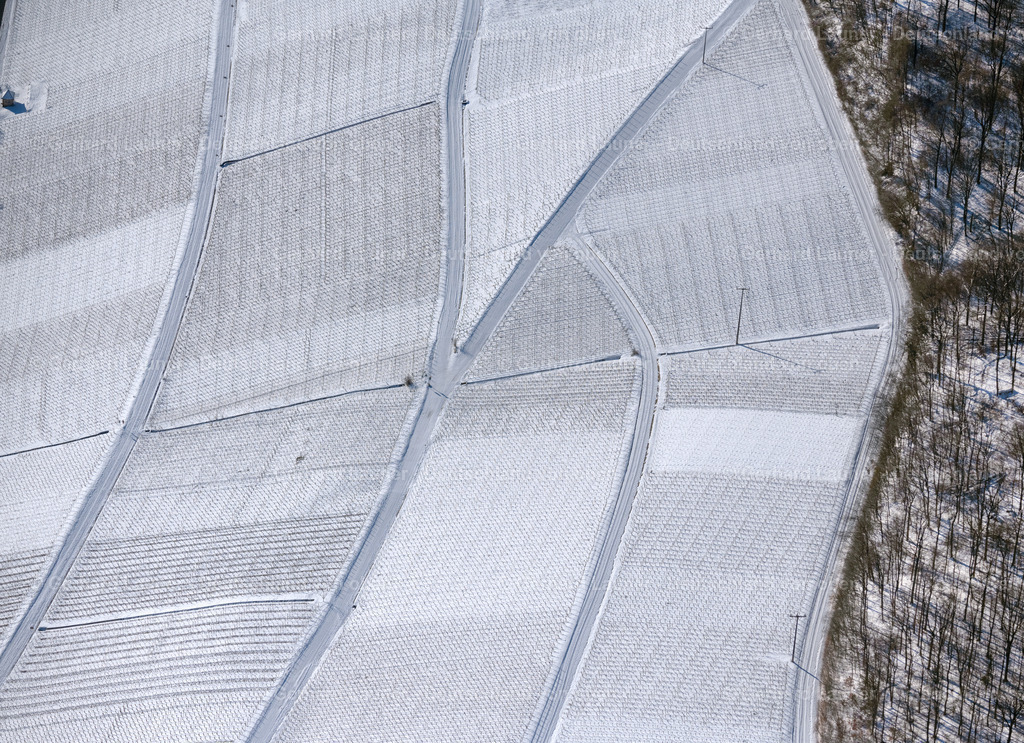 4043286 | winterliche Weinbergstrukturen bei Köhler