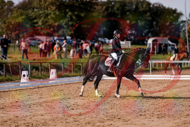 2026_10_03_Siefer-Hof_121556_Z81_17893930 | Professionelle Reitsport-, Turnier- und Eventfotografie von Robert Broda. Galerien mit ausgewählten und bearbeiteten Bildern direkt online ansehen und bestellen.