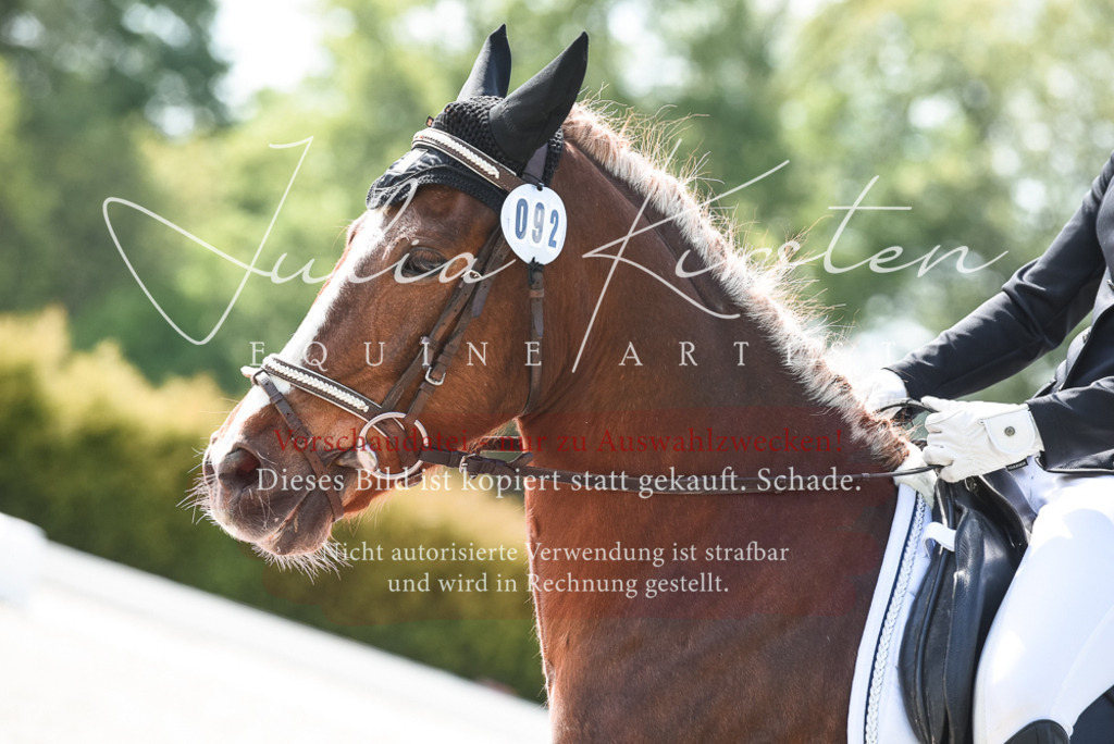 20230518_JK-Röhrsdorf-09-1516 | Pferde- und Turnierfotografie in Westsachsen. Pferdeportraits, Auftragszeichnungen und intuitive Kunst.