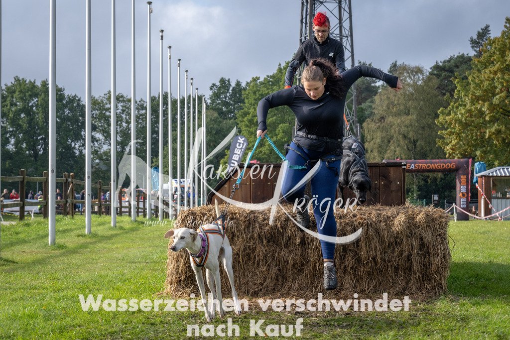 1419-94754 | kk-dogfotos