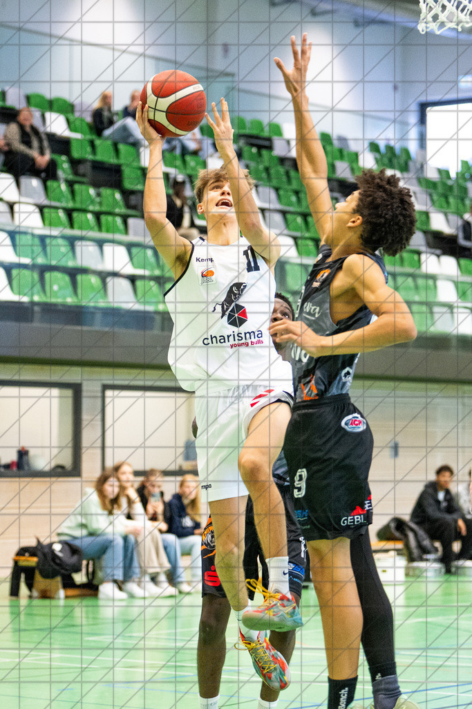 JBBL 24/25 | 27.10.2024 | Charisma Young Bulls vs. BBA Hagen | JBBL 24/25 | 27.10.2024 | Charisma Young Bulls vs. BBA Hagen - - - - - CREDIT, www.bullenfotos.de, Martin König, Hörner Weg 40, D-49078 Osnabrück, +4917663732967, Nutzung und Weitergabe nur zu den vereinbarten Zwecken. Presseanfragen an Urheber. Alle Rechte beim Urheber. - - - - - - Realisiert mit Pictrs.com