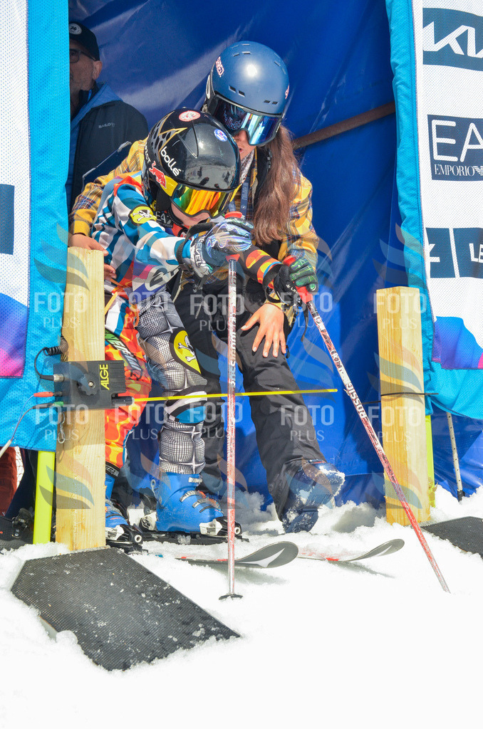 _ELE7489 | holidayphoto