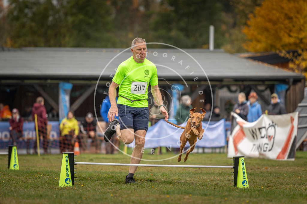 Pfotenfotografie_DV3A1787 | Hundefotografie, Tierfotograf, Pfotenfotografie, Fotoshooting Hund, Hunde Portrait, Hundesport, Hundeportraits, Heideshooting, Hunde, Sportfotograf, Hundefotograf, Turnierhundsport, THS,  - Realisiert mit Pictrs.com