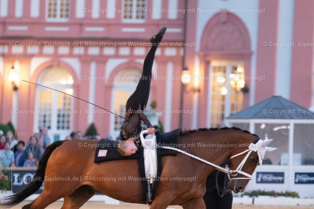 20230527_Voltigieren_NASPA_Flutlicht_0456 | equistock