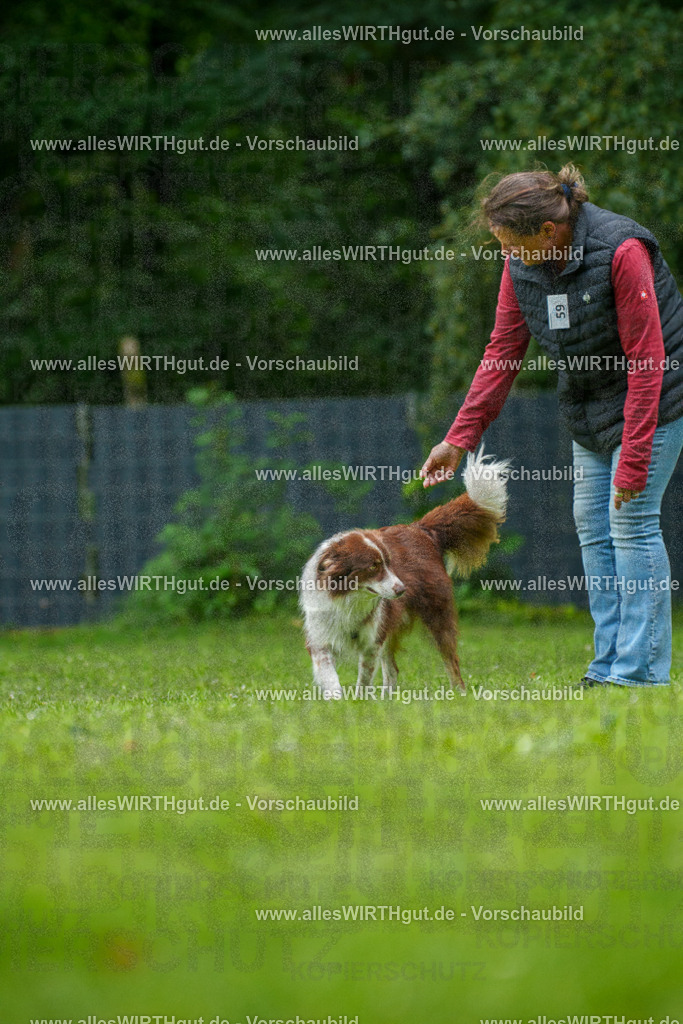 @allesWIRTHgut_Tierfotografie - www.allesWIRTHgut.de - 7R501426 | Professionelle Tierfotografie in Mönchengladbach von Daniel Wirth (allesWIRTHgut). Liebevolle & natürliche Bilder von Hunden & Katzen für unvergessliche Erinnerungen.