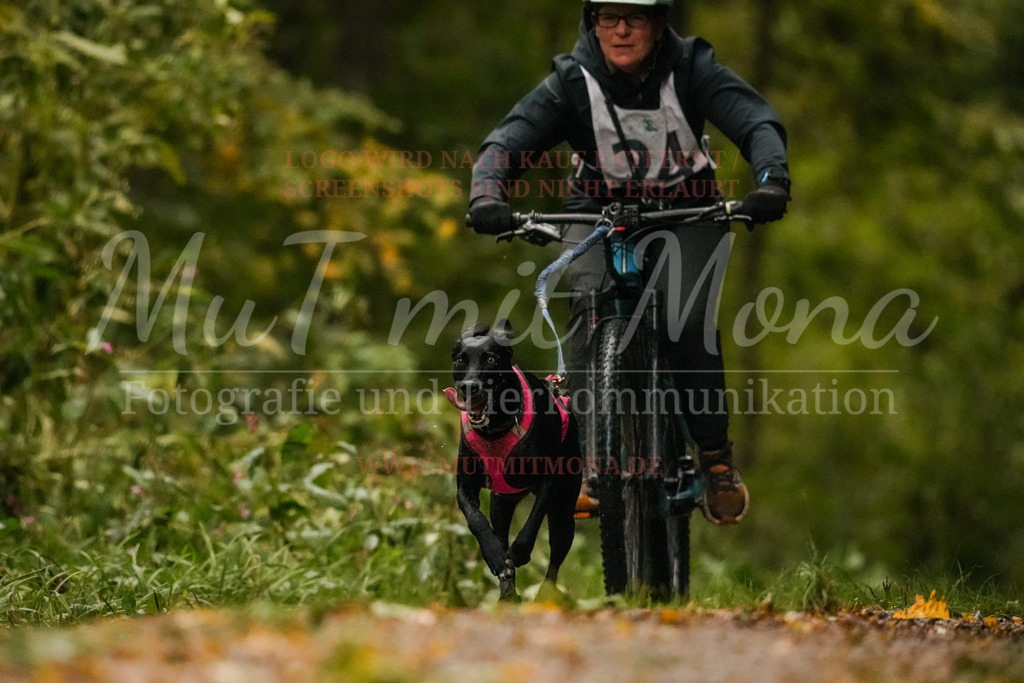 20251005_THS_Turnier-178 | MuT (Mensch und Tier) mit Mona - Fotografie und Tierkommunikation - Realisiert mit Pictrs.com