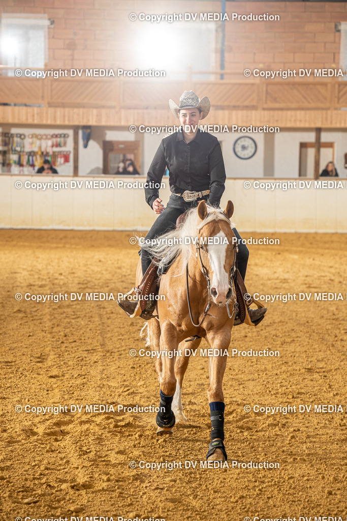 MIT00678 | dv-media-shop - Realisiert mit Pictrs.com