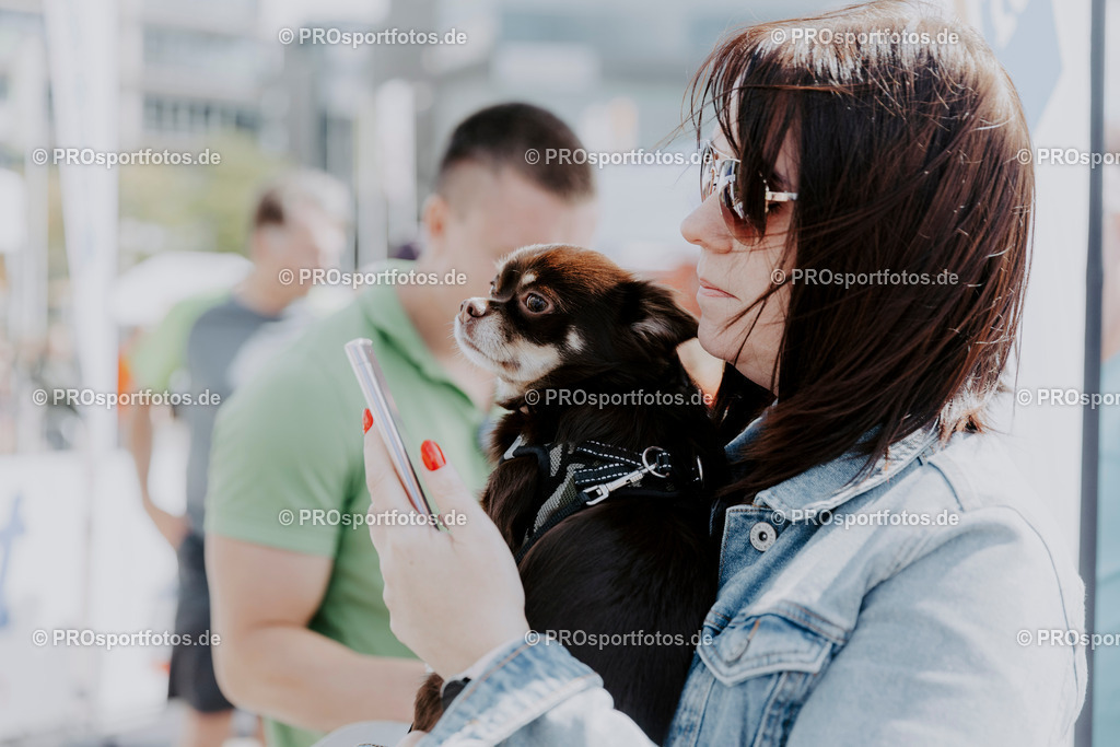 240825_Treppenlauf-491 | Professionelle Fotos Ihrer Laufsportveranstaltung.