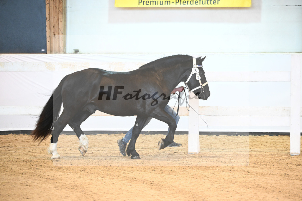 Kat-Nr. 5 v. Sierra Madre_Holl_6240041 | hf-fotografie - Realisiert mit Pictrs.com