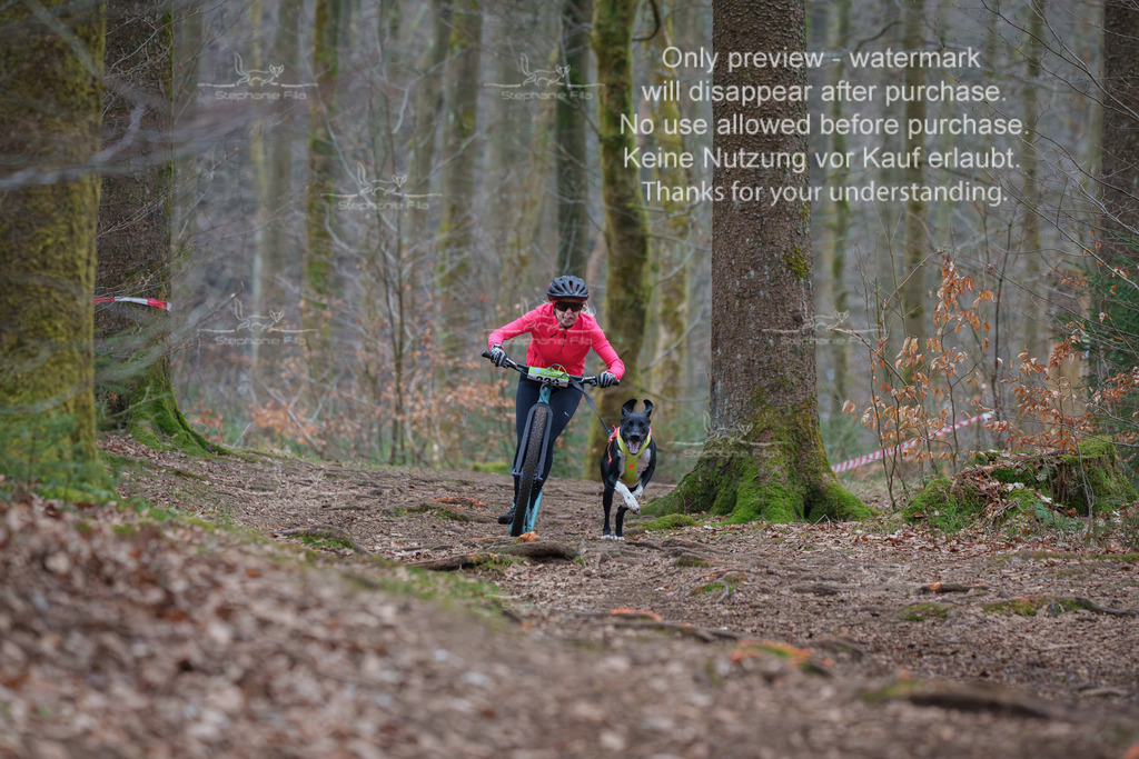 Scooter_So-9 | stephaniefillaphotographie - Realisiert mit Pictrs.com