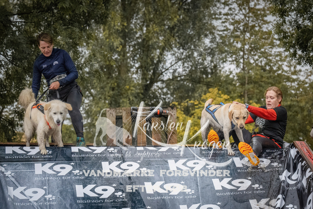 1054_ZZ91100 | kk-dogfotos