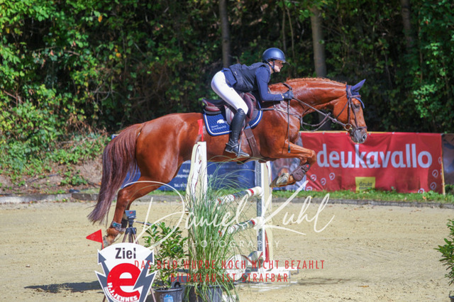 DKP43093 | Deine Turnierfotos vom Reitturnier online kaufen: Dressur, Springen & Siegerehrung. Professionelle Pferdefotografie aus dem Rheinland – als Download & Print.Alternative: Turnierfotograf für den Pferdesport: Finde deine Fotos von Dressur- und Springturnier