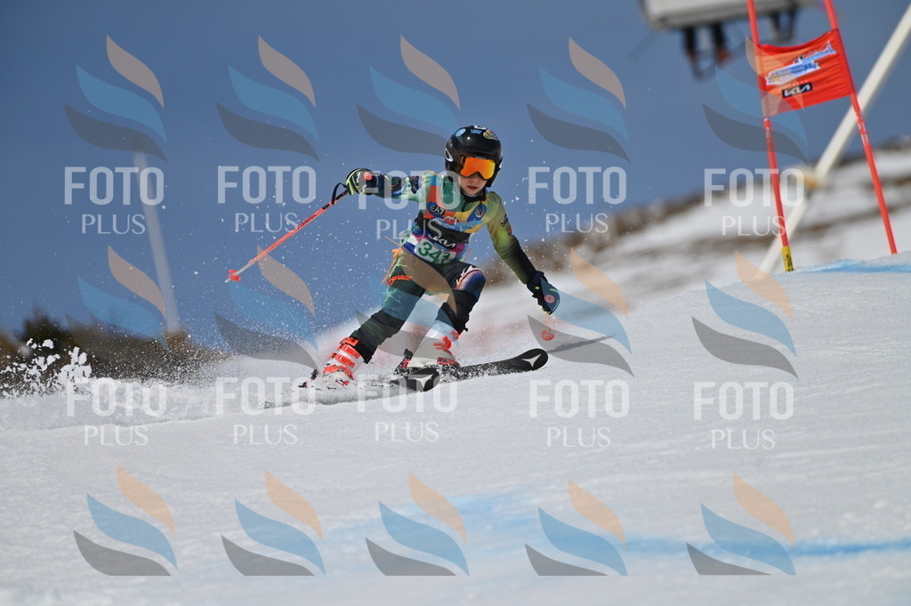 BGV_6775 | holidayphoto