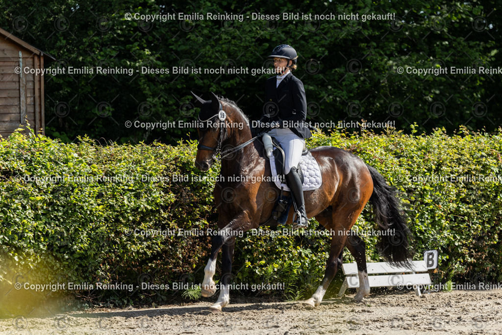 CL5A7101 | Emilia Reinking Fotografie - Realisiert mit Pictrs.com