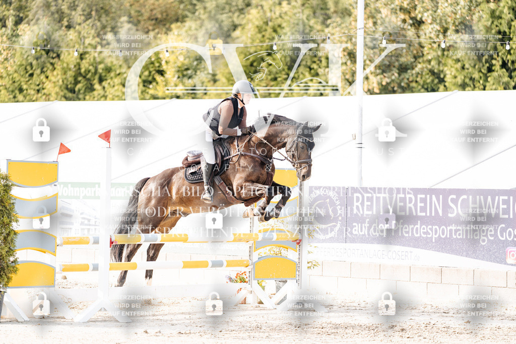 CK906559 | Turnierfotografie Pferdefotografie Trier Rheinland-Pfalz Pferdesport Reitsport Tierfotografie Sportfotografie Pferdevideo Pferdevideografie Equestrianvideography equestrianphotography  - Realisiert mit Pictrs.com