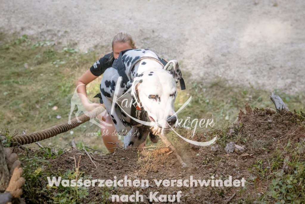1046_ZZ92277 | kk-dogfotos