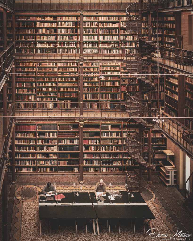 _DSC4292 2 | Fotografien, Fotos und Bilder aus Mainz, Frankfurt, Wiesbaden und anderen Orten auf der Welt - Fotografiert von Darius Metzner