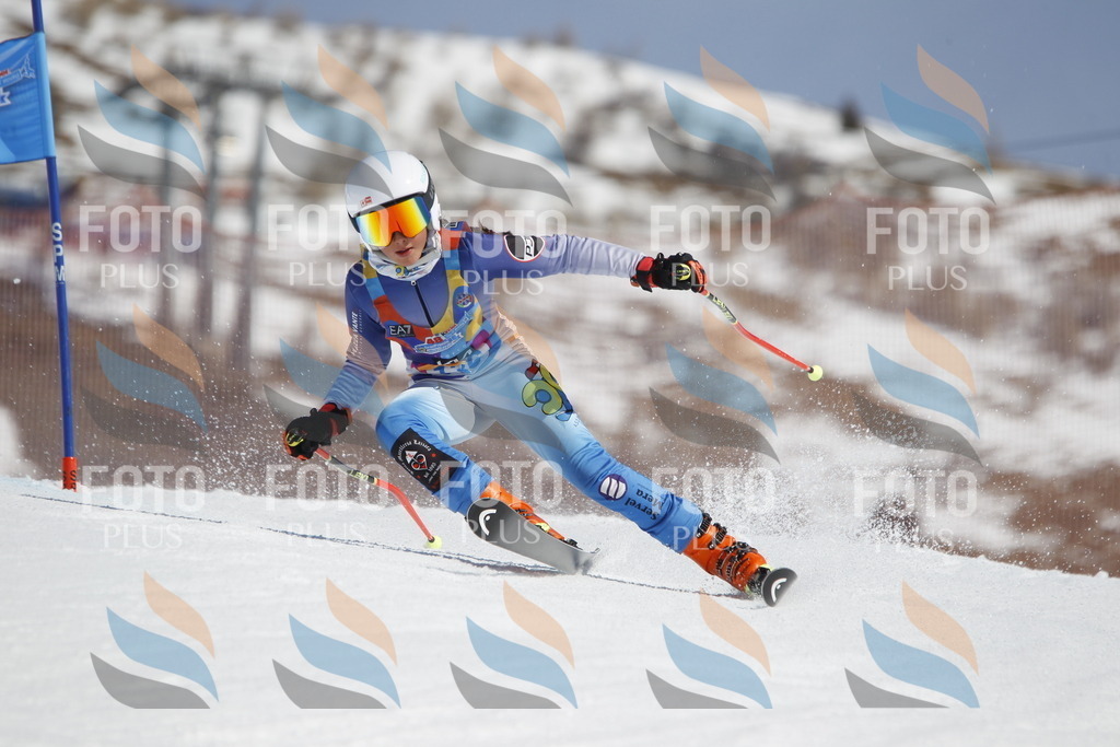 _U3G0970 | holidayphoto