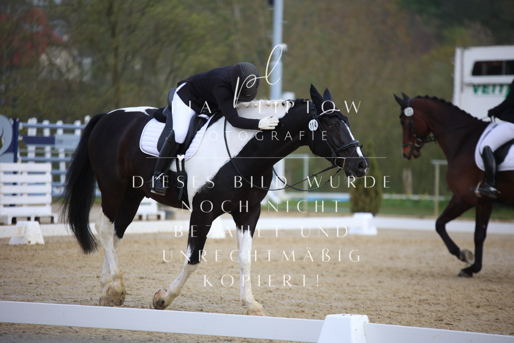 IMGT6536 | pl-fotografie