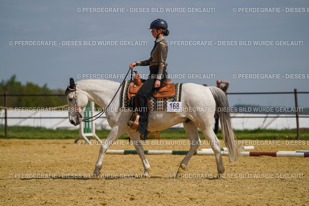 DSC04767 | Pferdegrafie