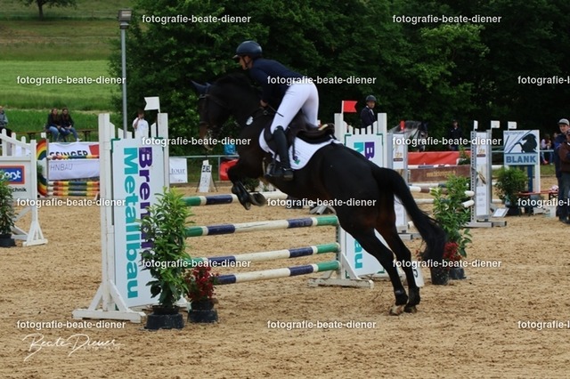 OHT1971 | Fotografie, Tiere, Hunde, Katzen, Pferde, Sportfotografie, Fotosession, Tierfotografie, Turnierfotografie, Fotografin, Fotograf - Realisiert mit Pictrs.com