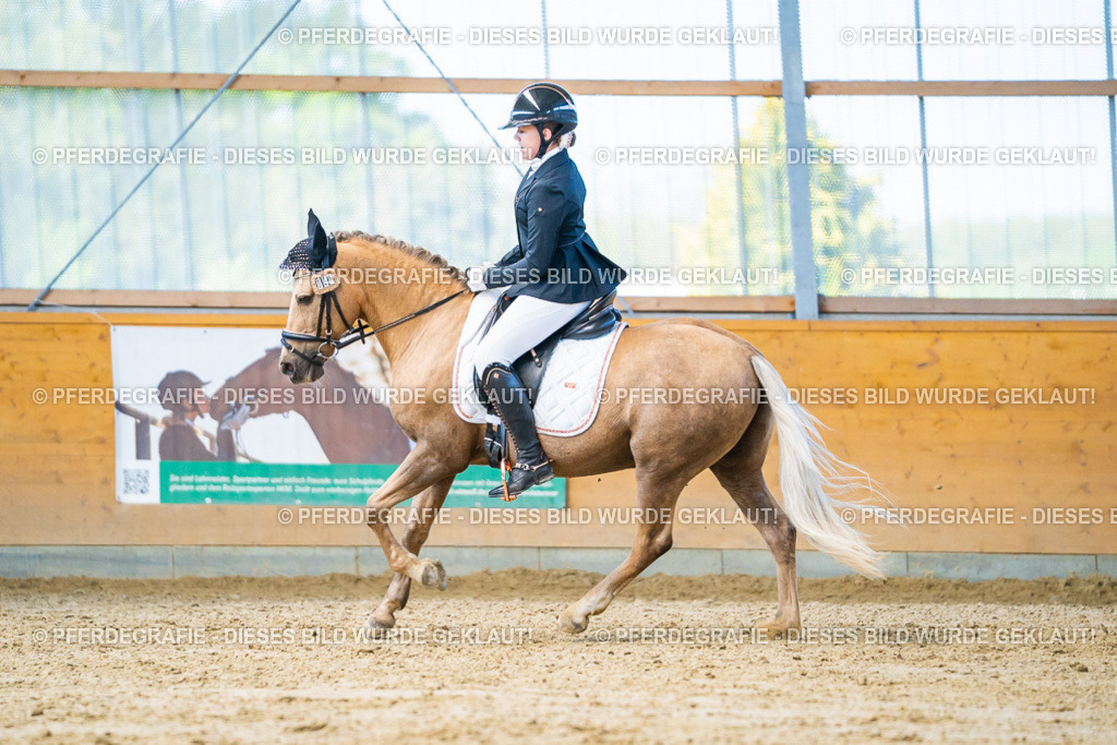 DSC07668 | Pferdegrafie