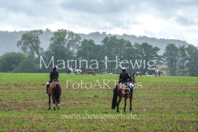 Jagd Perdoel 26 Sony-03399_MarinaHewig | Fotografie, FotoArt, PferdesportArt, Pferdesportfotografie, Landschaftsfotografie, Reisefotografie, Reise, Pferde - Realisiert mit Pictrs.com