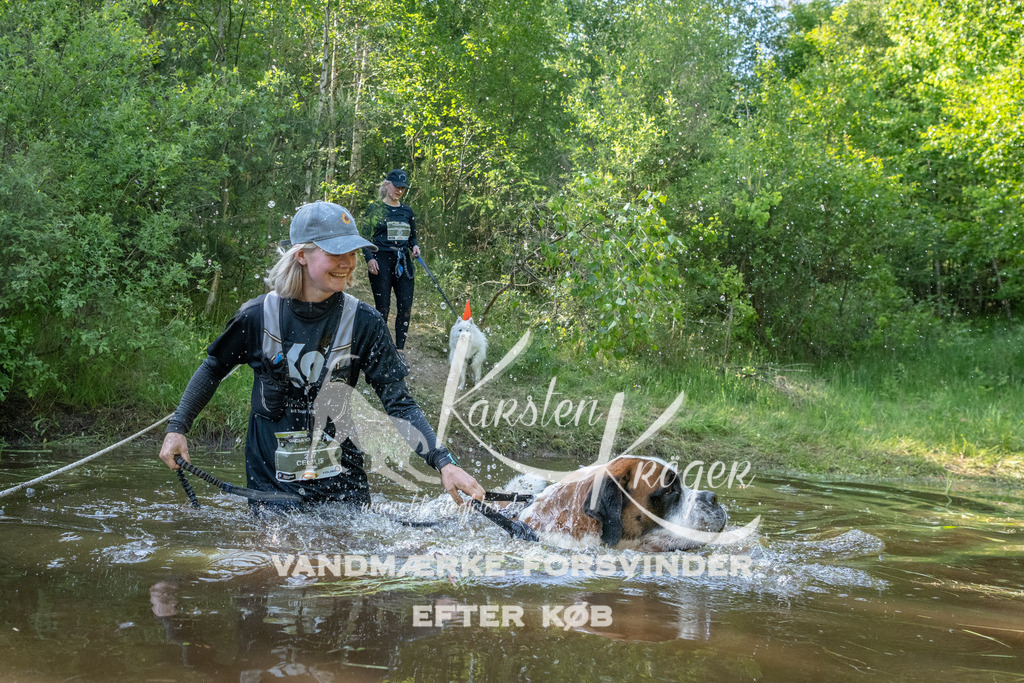 1712DKK991831 | kk-dogfotos