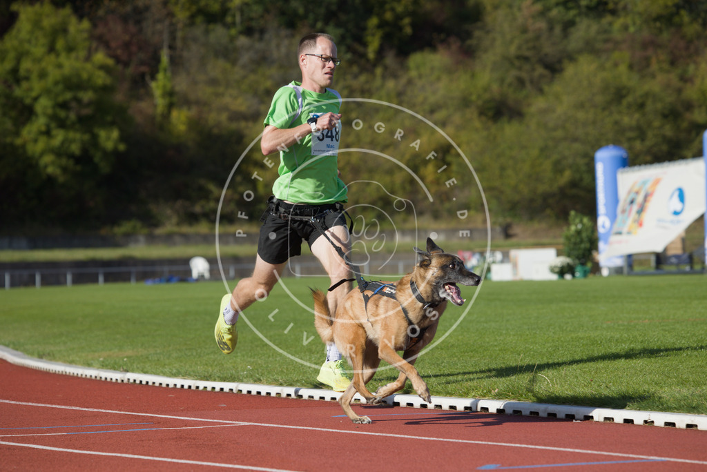 0L8A9480 | Hundefotografie, Tierfotograf, Pfotenfotografie, Fotoshooting Hund, Hunde Portrait, Hundesport, Hundeportraits, Heideshooting, Hunde, Sportfotograf, Hundefotograf, Turnierhundsport, THS,  - Realisiert mit Pictrs.com