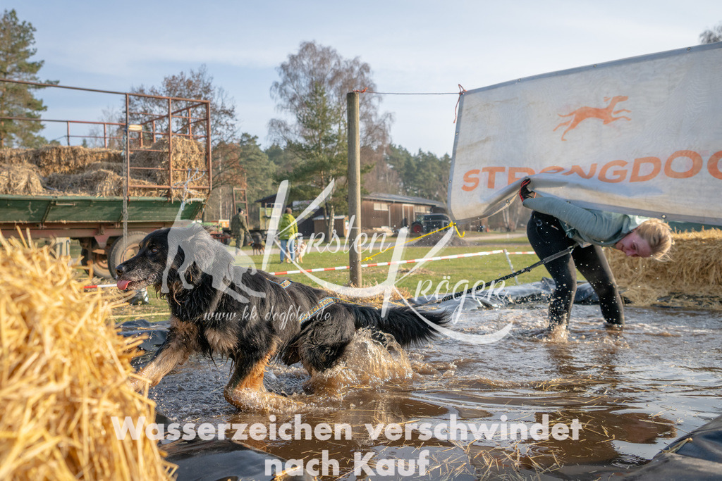 _ZZ90876 | kk-dogfotos