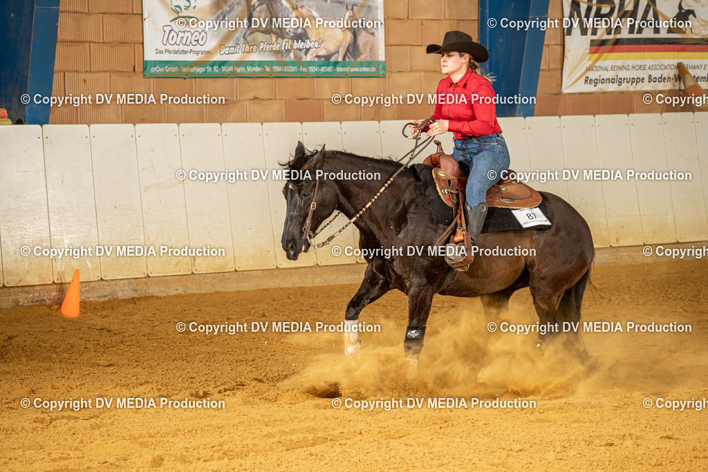 MIT01127 | dv-media-shop - Realisiert mit Pictrs.com