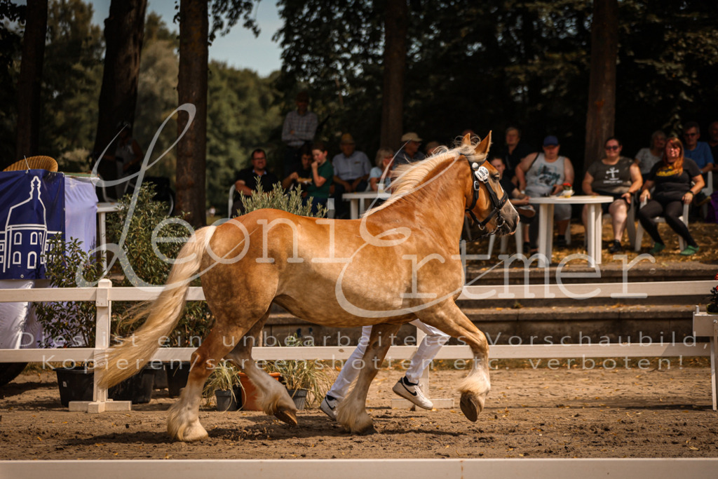 2.Sa00056 | Leoni Ertmer Photography - Realisiert mit Pictrs.com