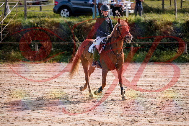 2026_10_03_Siefer-Hof_144648_Z81_22844361 | Professionelle Reitsport-, Turnier- und Eventfotografie von Robert Broda. Galerien mit ausgewählten und bearbeiteten Bildern direkt online ansehen und bestellen.