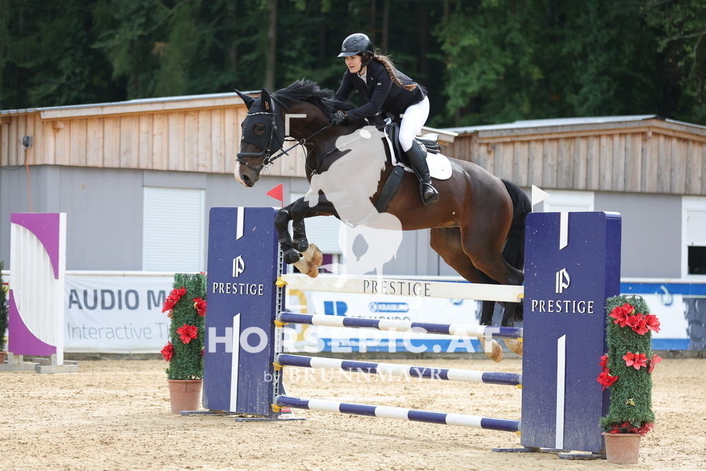 0P6A6737 | Willkommen bei Brunnmayr - Design & Fotografie – Ihrem Spezialisten für Reitturniere und Pferdeveranstaltungen in Oberösterreich, Salzburg und Bayern! Seit über 17 Jahren sind wir leidenschaftlich dabei.