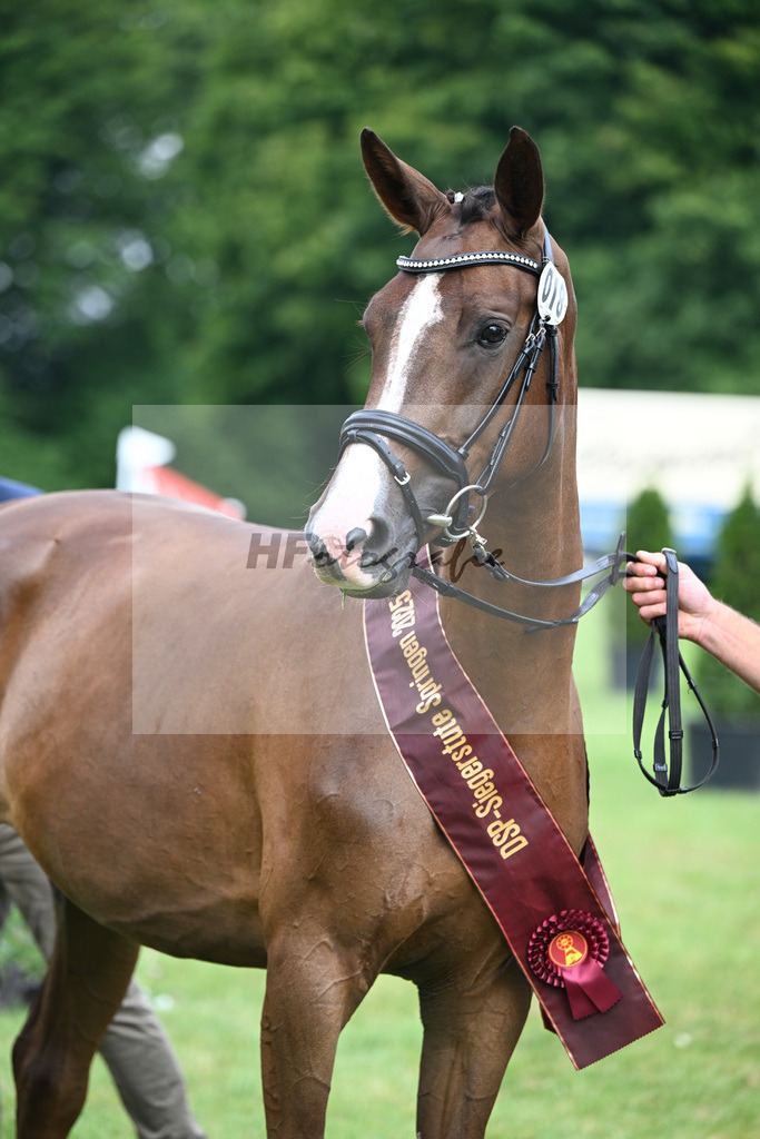 Kat-Nr. 18 Triys v. Chardonnay_Wimmer_27150674 | hf-fotografie - Realizzato con Pictrs.com