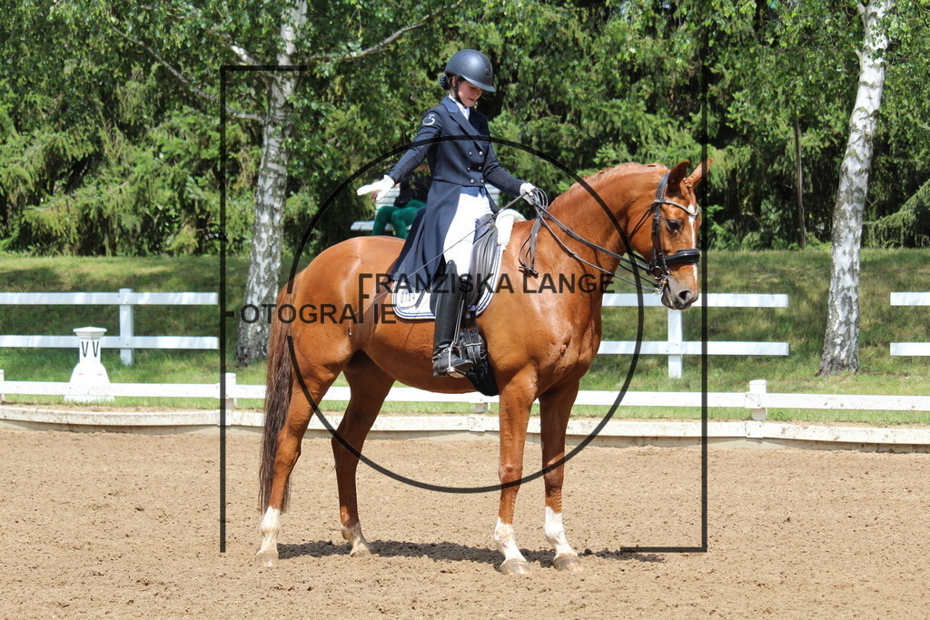 IMG_7649 | franziskalange - Realisiert mit Pictrs.com