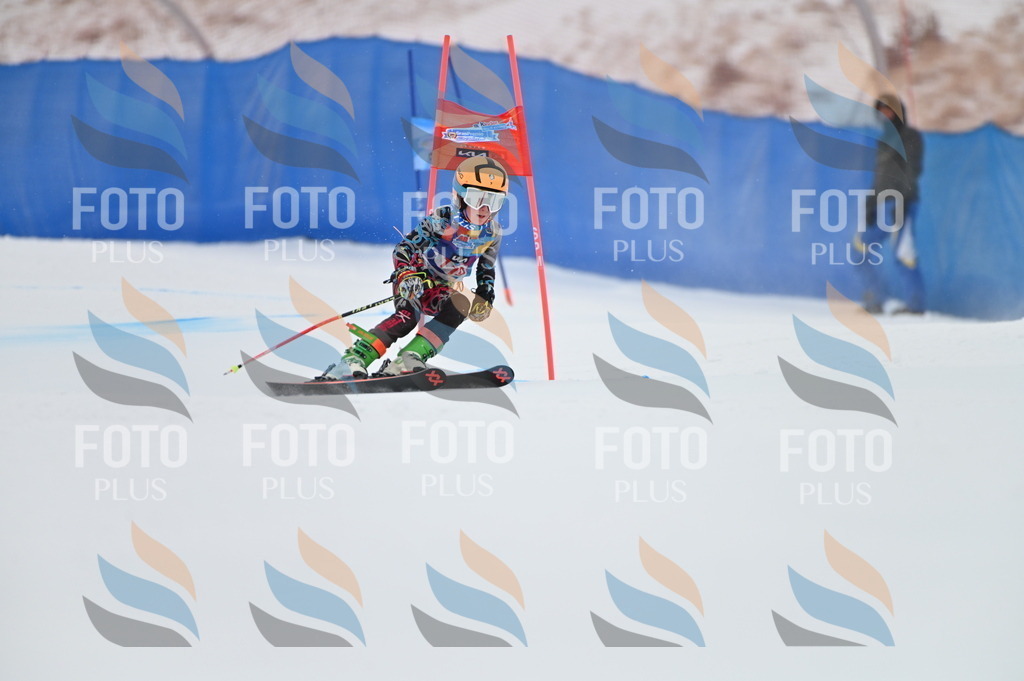 BGV_9782 | holidayphoto